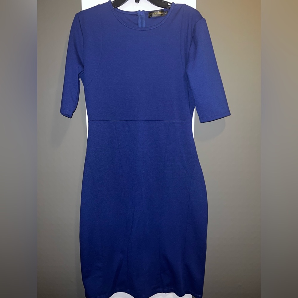 Stanzin Fitted Dress